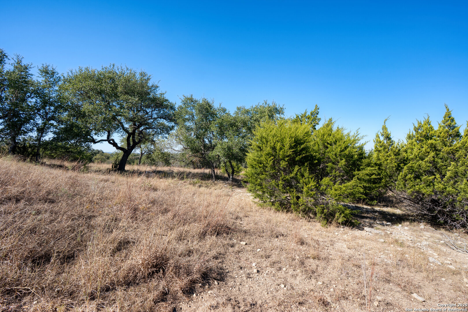 11 Wynstone Boerne, TX 78006 - Photo 10 of 34 a view of a yard with a tree