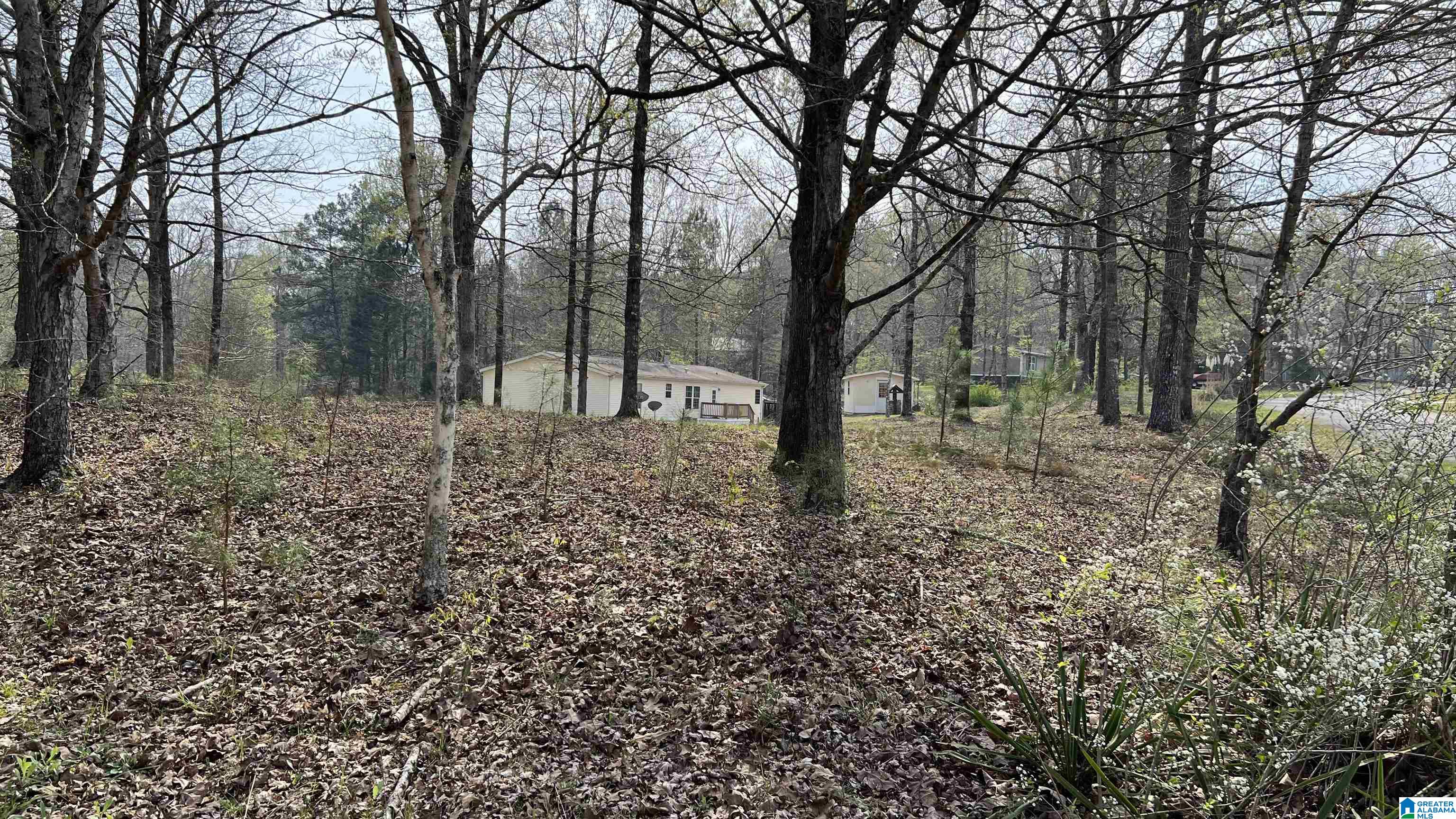 337 Tomahawk Trail Riverside, AL 35135 - Photo 64 of 68