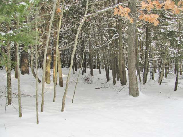 Four Fourmile Creek Road, Unit LOT Three Lakes, WI 54562 - Photo 1 of 8 Gallery Image 1