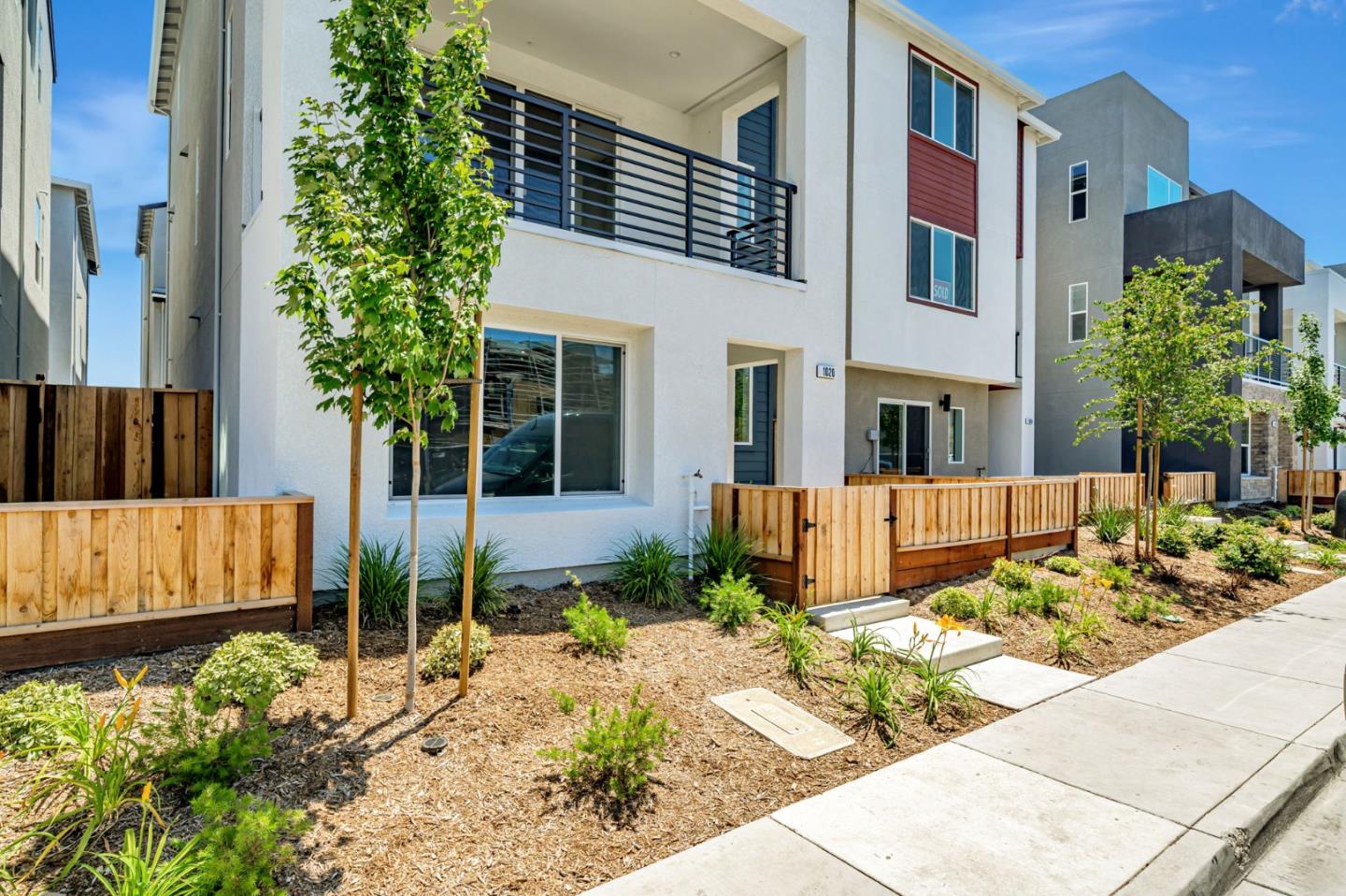 1021 Sinopia Terrace San Ramon, CA 94583 - Photo 1 of 1 a view of a house with a small yard and plants