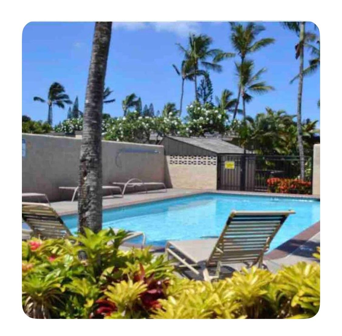 120 Hui Rd F, Unit B5 Lahaina, HI 96761 - Photo 16 of 17 a view of swimming pool