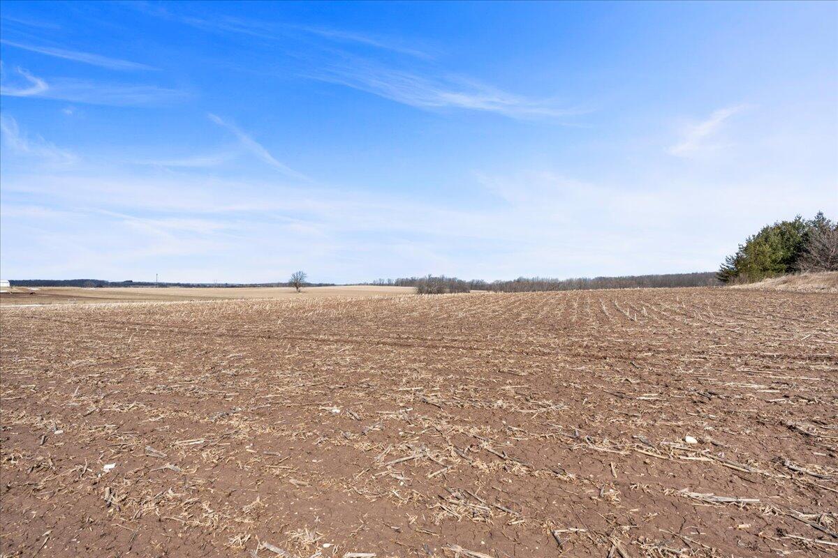 Lt0 County Road North Lyndon, WI 53093 - Photo 11 of 17 Horses Allowed