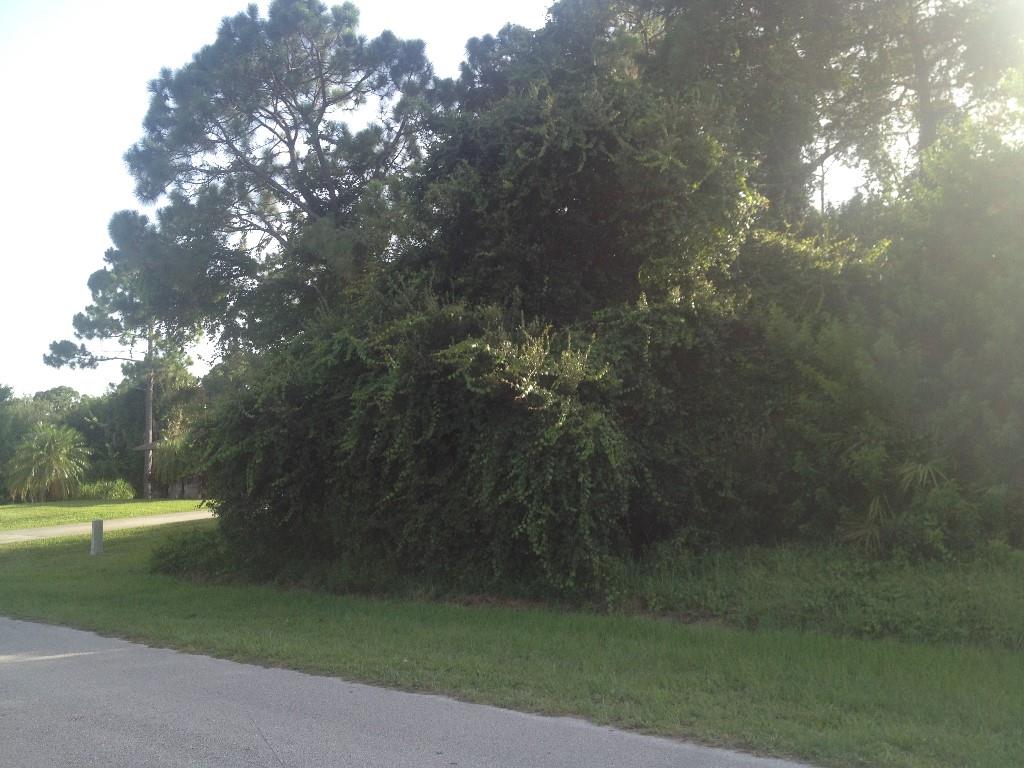 149 Filbert Street Sebastian, FL 32958 - Photo 1 of 2 Gallery Image 1