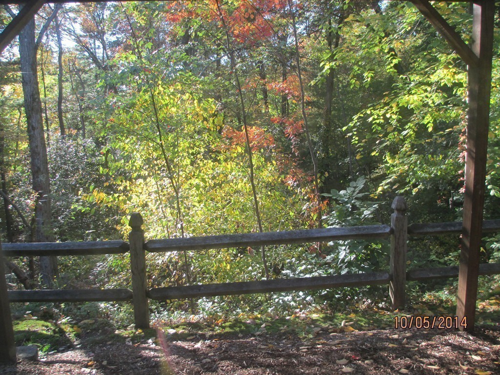 335 Bishops Forest Drive, Unit 335 Waltham, MA 02452 - Photo 19 of 21 a view of a yard from a balcony