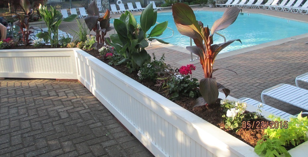 335 Bishops Forest Drive, Unit 335 Waltham, MA 02452 - Photo 21 of 21 a view of a garden with plants