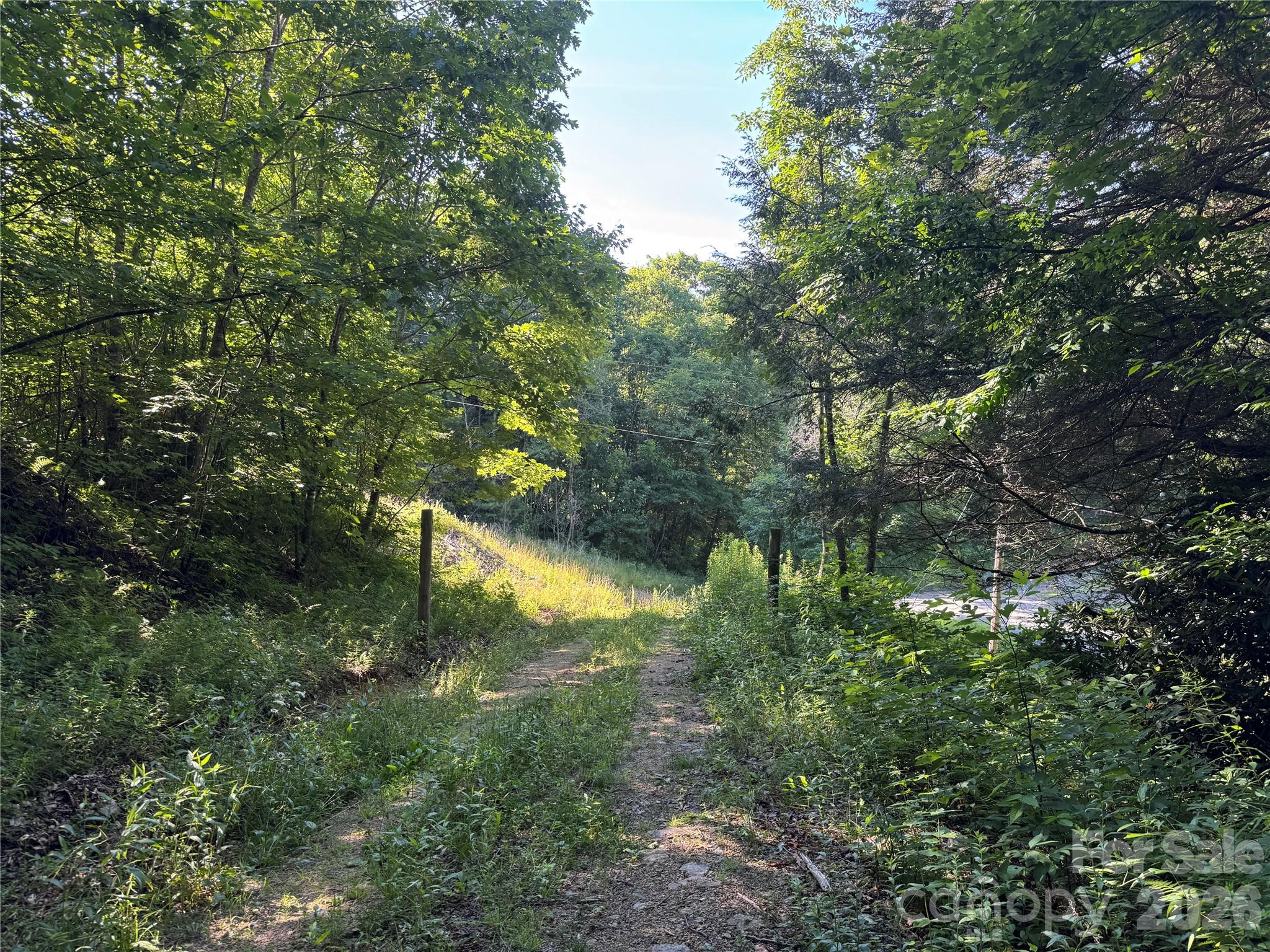 999999 Fairview Church Road Lansing, NC 28643 - Photo 2 of 2 a view of a garden