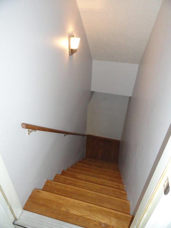 308 Dye Road Bell Buckle, TN 37020 - Photo 8 of 30 stairs to the basement