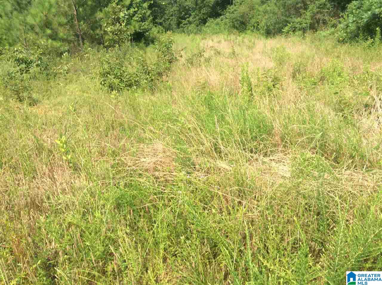 231 Highway Ashville Al, Unit 1 Ragland, AL 35131 - Photo 14 of 26 Gallery Image 14