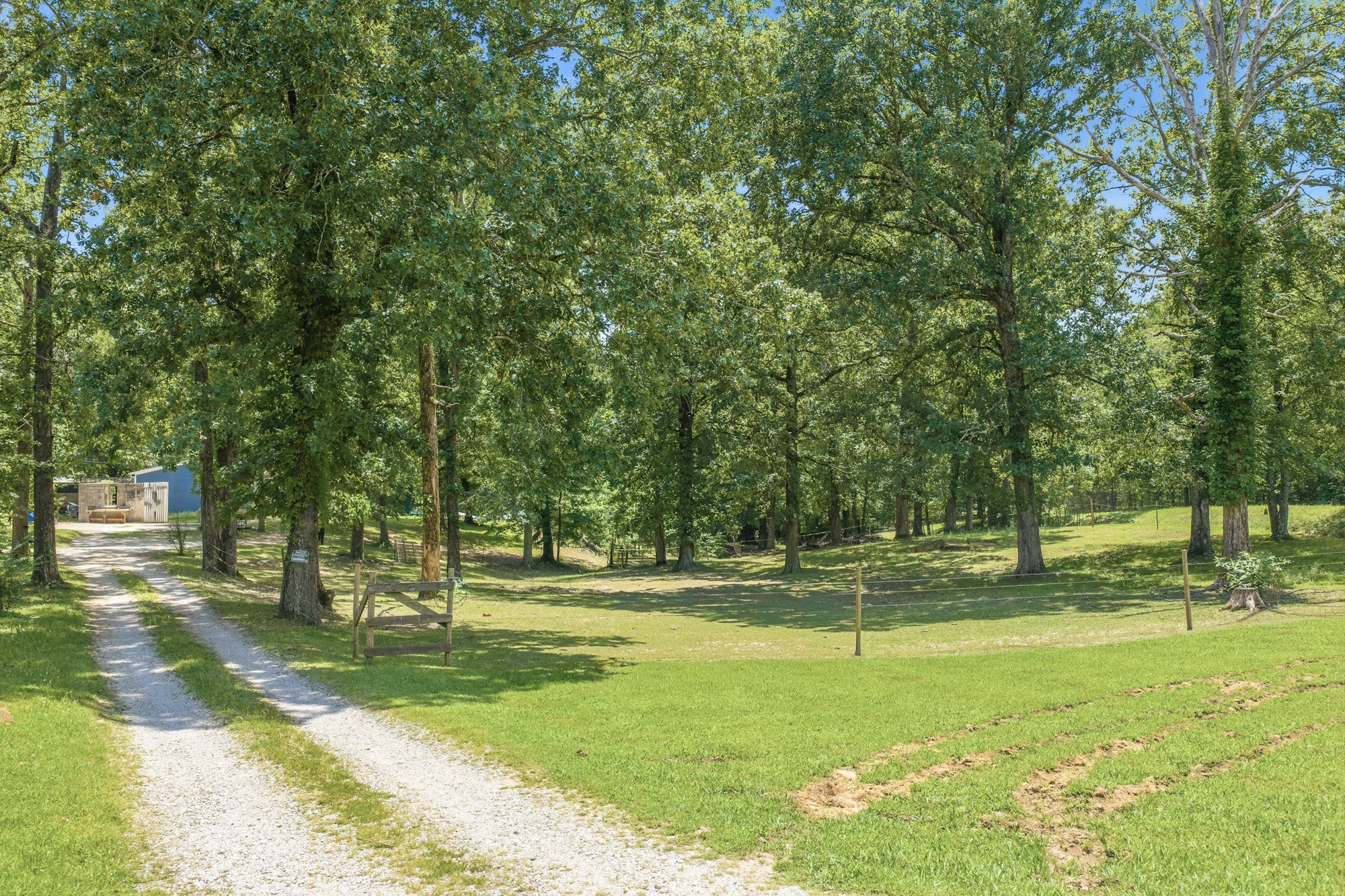 38 Doe Creek Road Sardis, TN 38371 - Photo 36 of 41