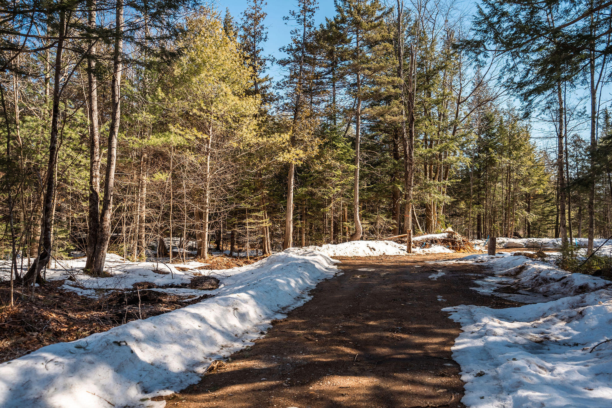 M7-l4 Hall Road Bethel, ME 04217 - Photo 24 of 31 New dirt Road behind the lot