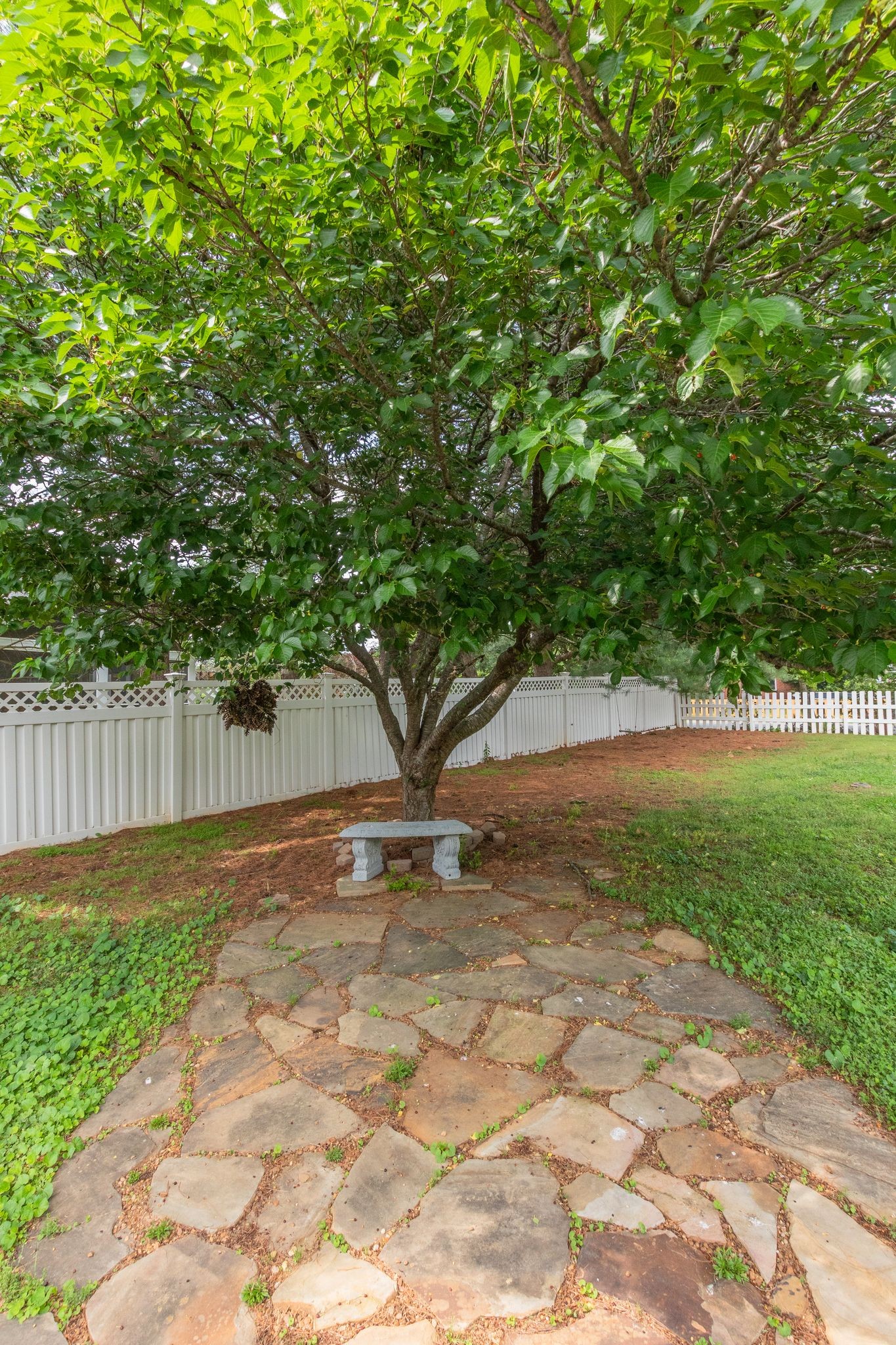 807 Judson Close Murfreesboro, TN 37130 - Photo 31 of 31 a view of backyard with tree