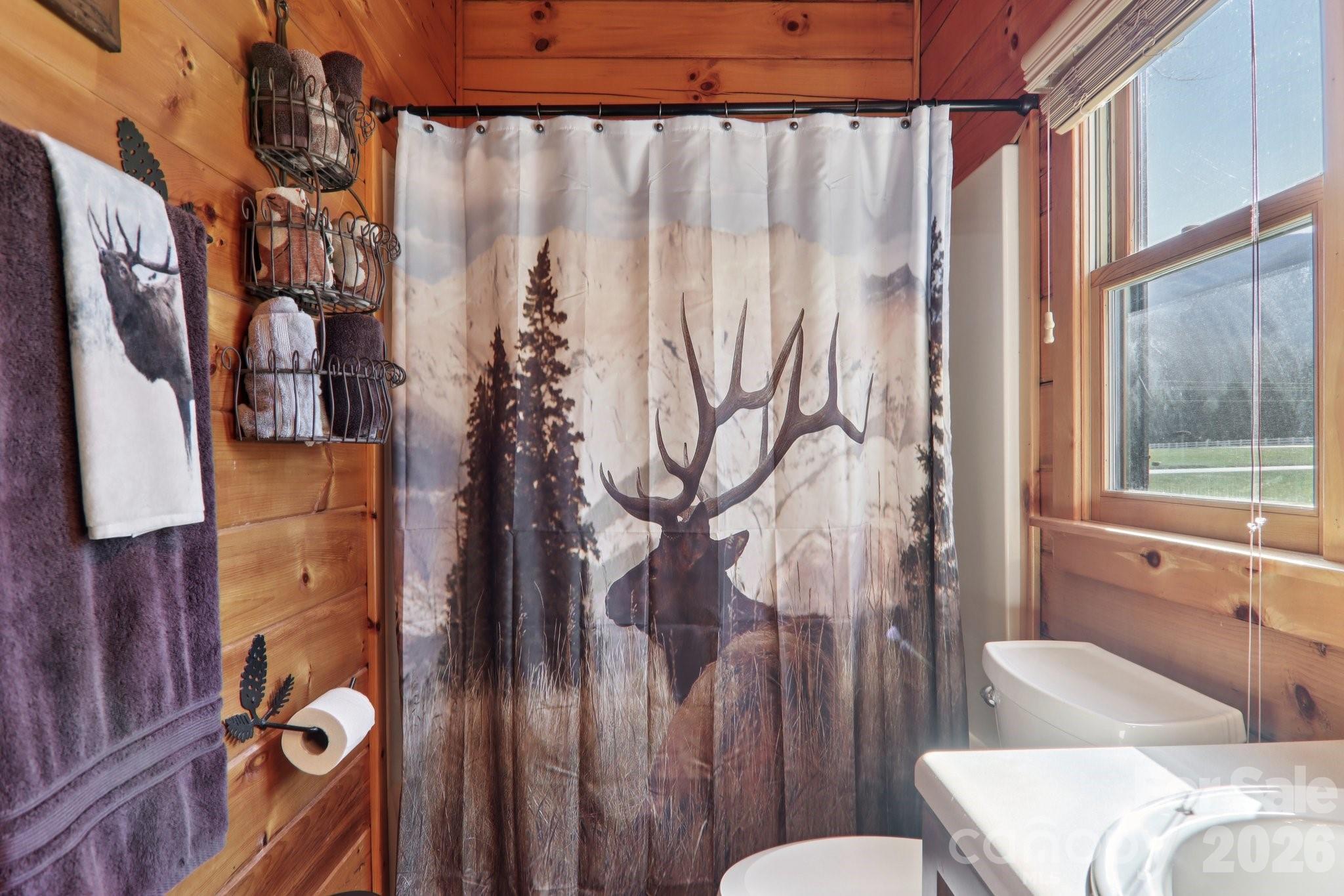 54 Meandering Way Maggie Valley, NC 28751 - Photo 17 of 47 a bathroom with a toilet and a shower curtain