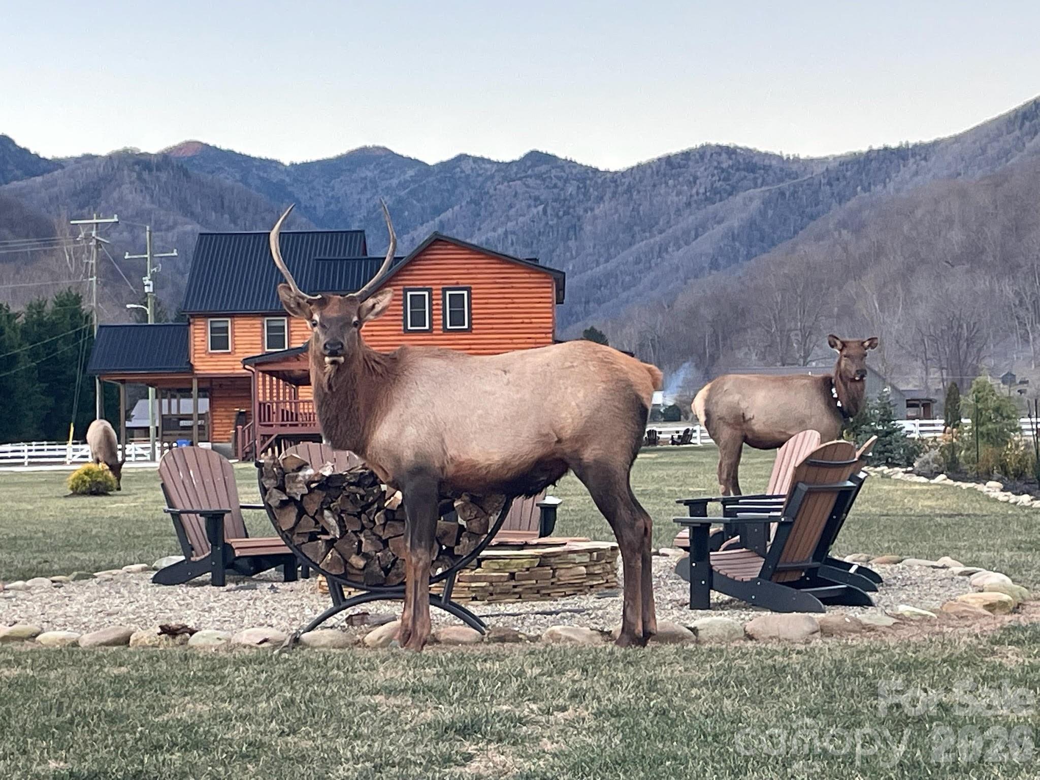 54 Meandering Way Maggie Valley, NC 28751 - Photo 2 of 47 a view of outdoor space with seating area