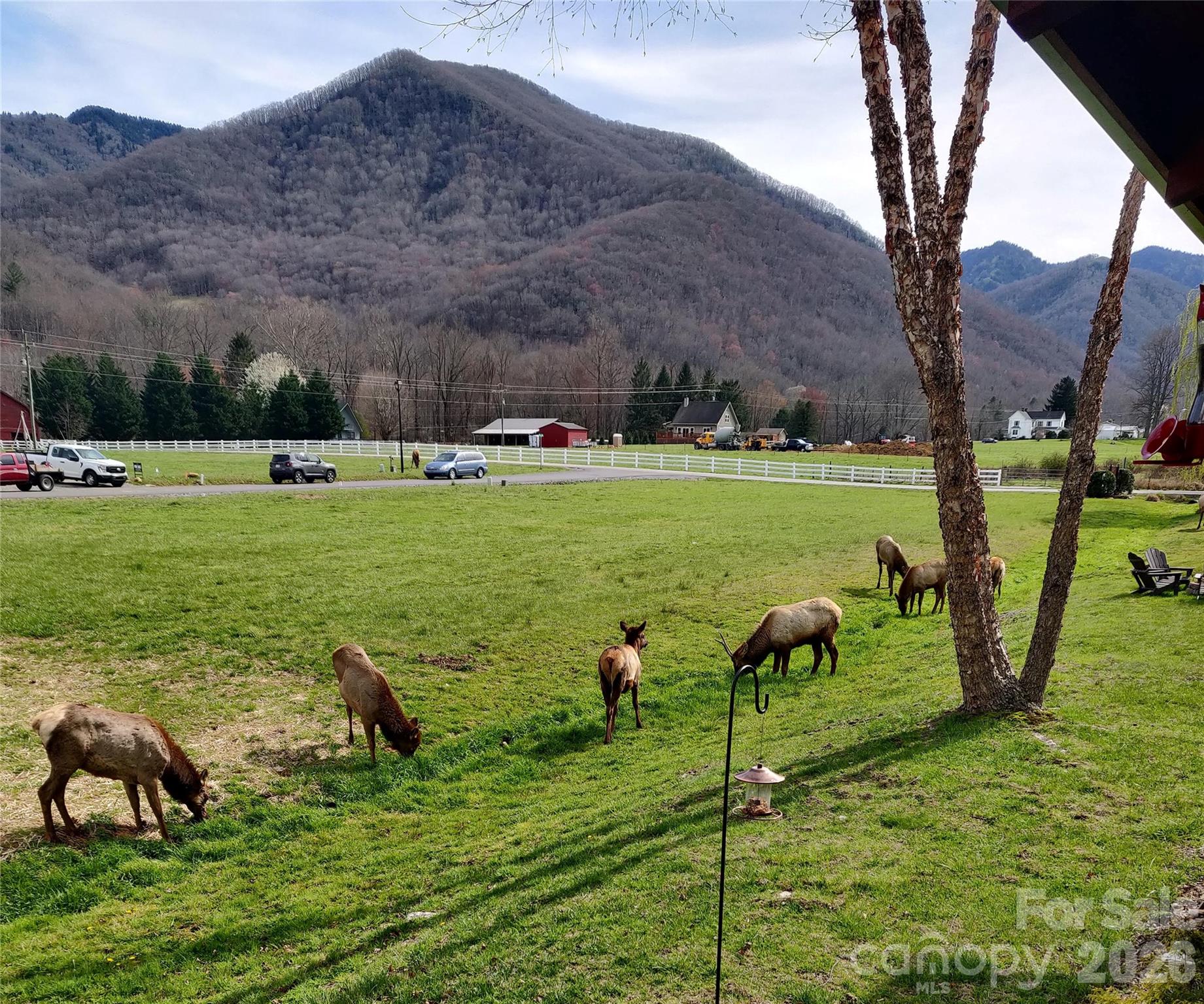 54 Meandering Way Maggie Valley, NC 28751 - Photo 30 of 47 a view of a backyard with table and chairs