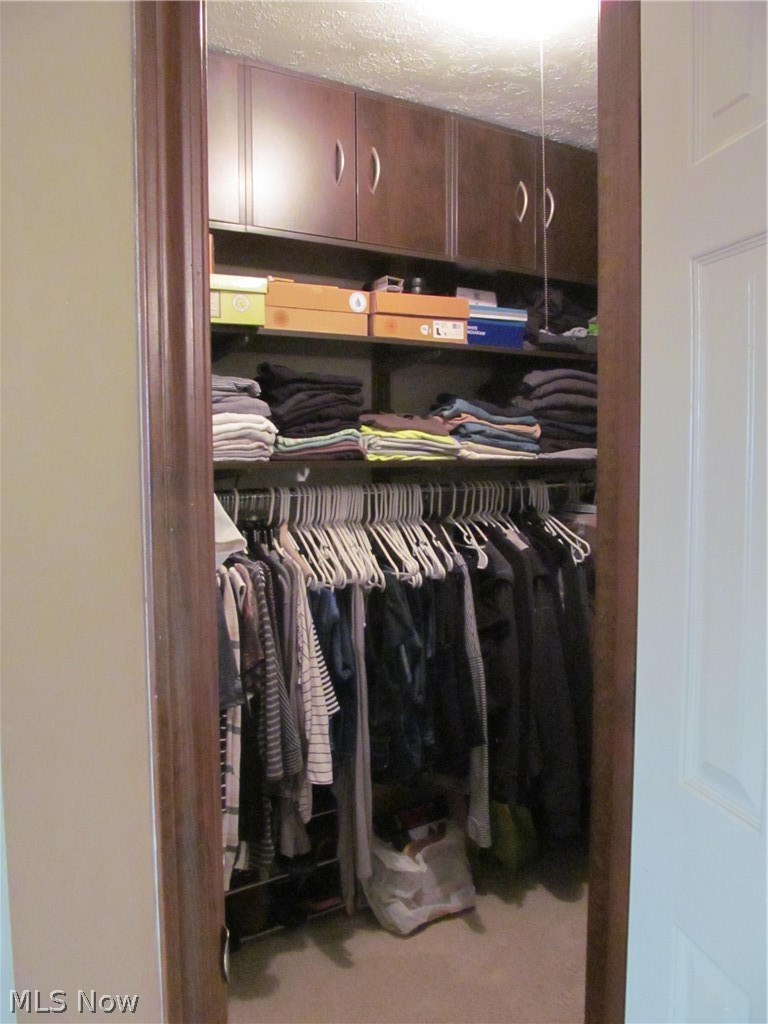6779 Orchard Trail Road Northeast Canton, OH 44721 - Photo 6 of 35 Master suite walk in closet with storage system.