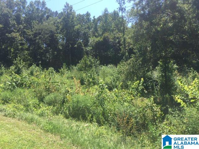 0 County Road 51, Unit 1 Clanton, AL 35046 - Photo 1 of 3