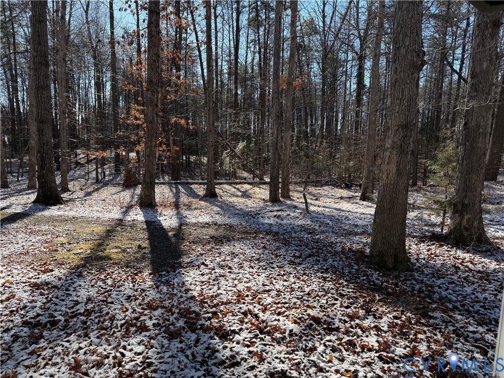 360 Clinton Road Cumberland, VA 23040 - Photo 13 of 33 View of yard