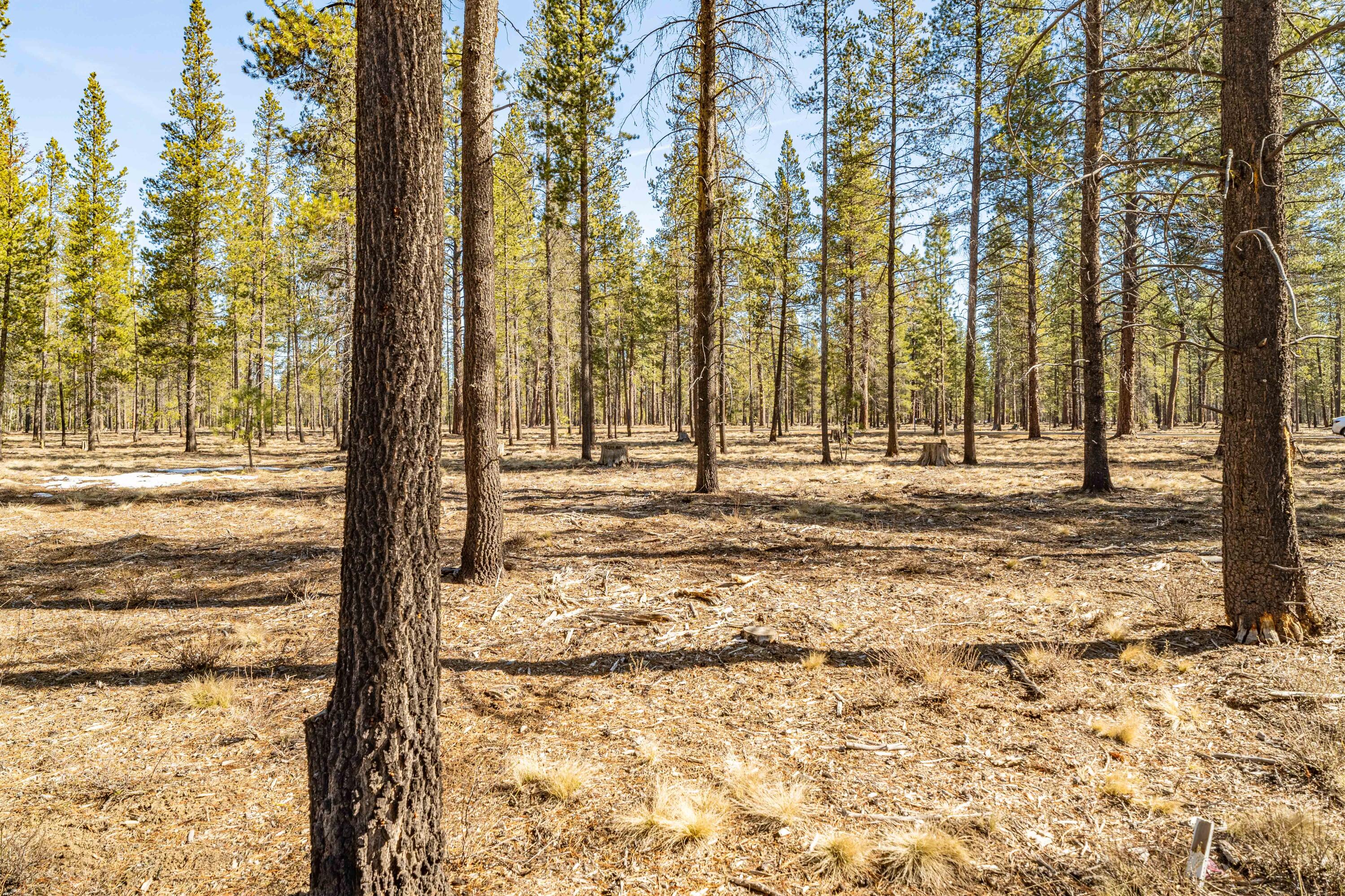 Preservation Loop Bend, Unit 461 Bend, OR 97707 - Photo 6 of 28 DSC07419-HDR