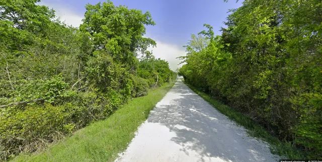 a view of a pathway of a garden