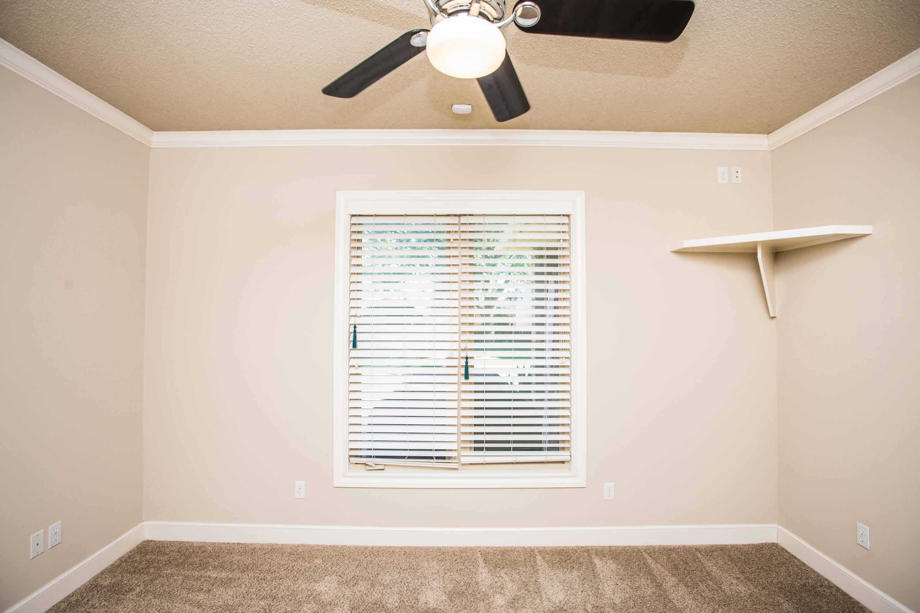 6803 79th Street Lubbock, TX 79424 - Photo 40 of 111 5V2A1048