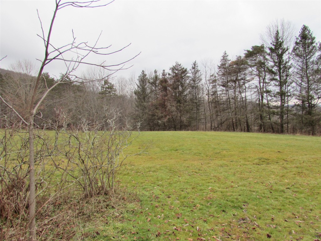 237 Wilcox Road Conklin, NY 13748 - Photo 30 of 33 Gallery Image 30