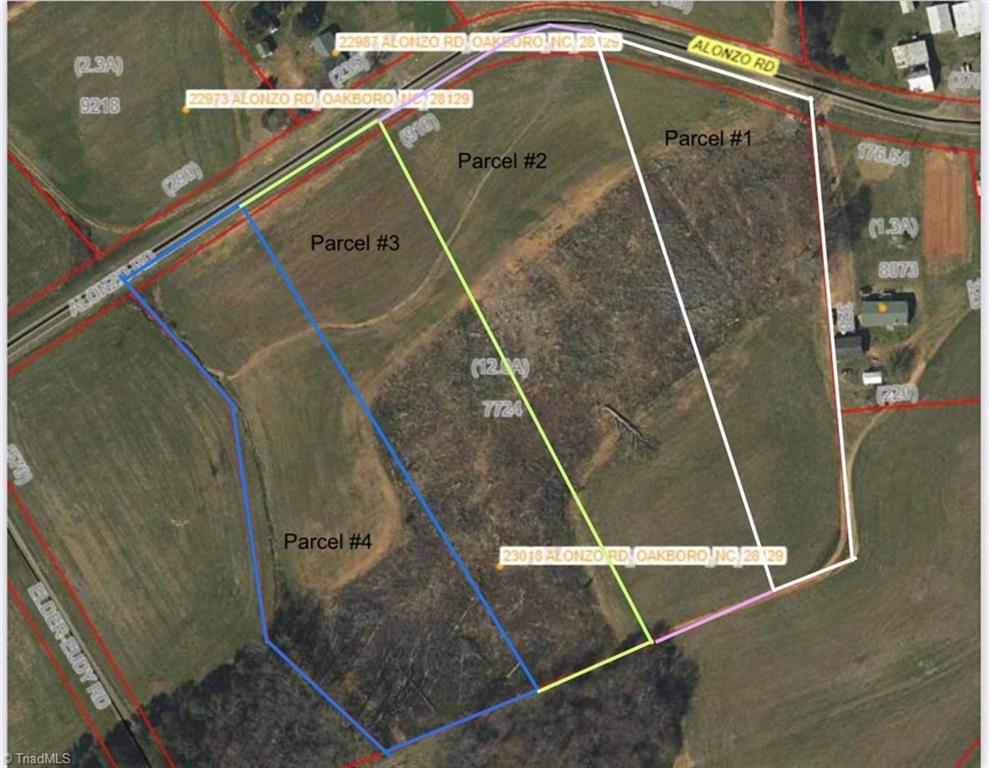 0 Alonzo Road Oakboro, NC 28129 - Photo 2 of 9