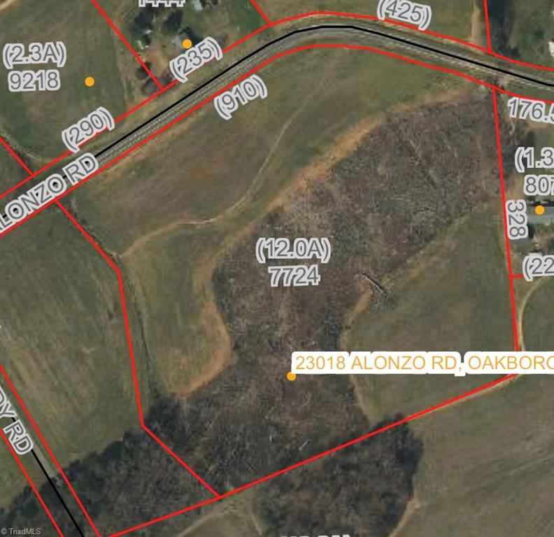 0 Alonzo Road Oakboro, NC 28129 - Photo 3 of 9