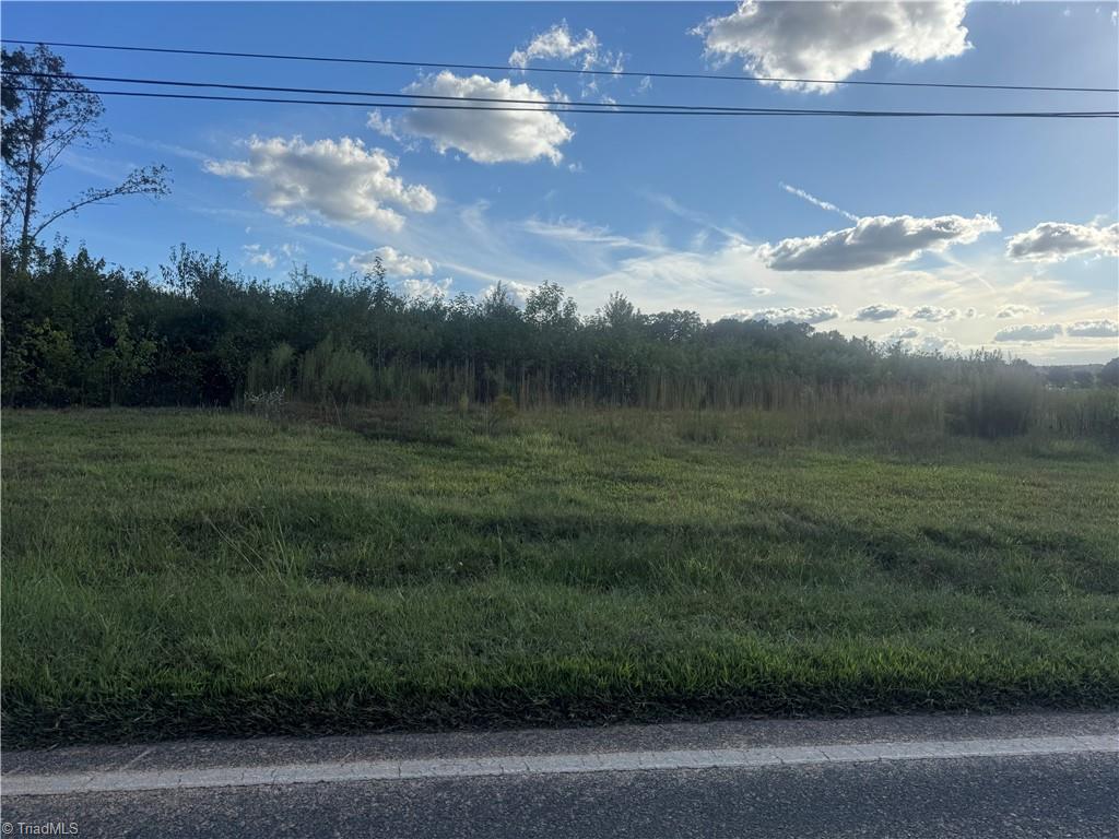 0 Alonzo Road Oakboro, NC 28129 - Photo 6 of 9