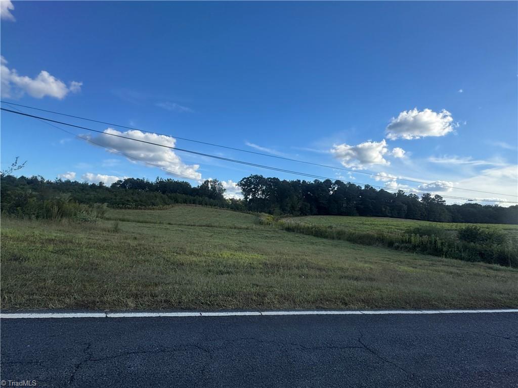 0 Alonzo Road Oakboro, NC 28129 - Photo 9 of 9