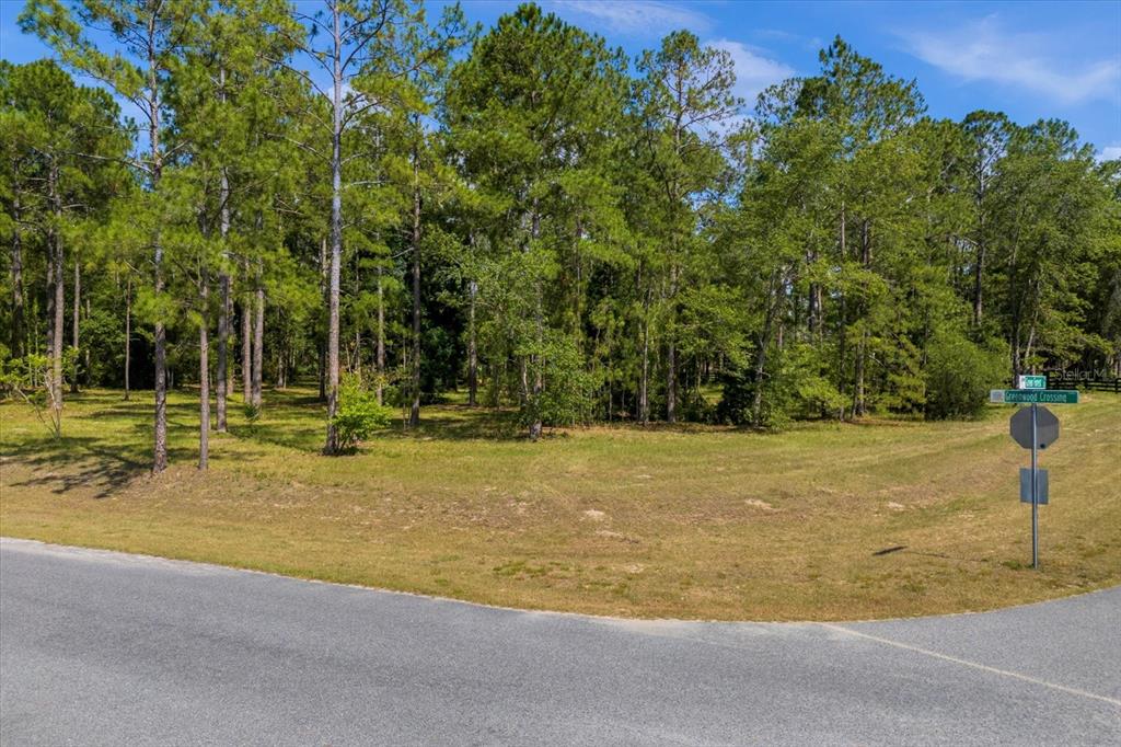 24102 Greenwood Crossing Eustis, FL 32736 - Photo 1 of 1 a view of a swimming pool with an outdoor space