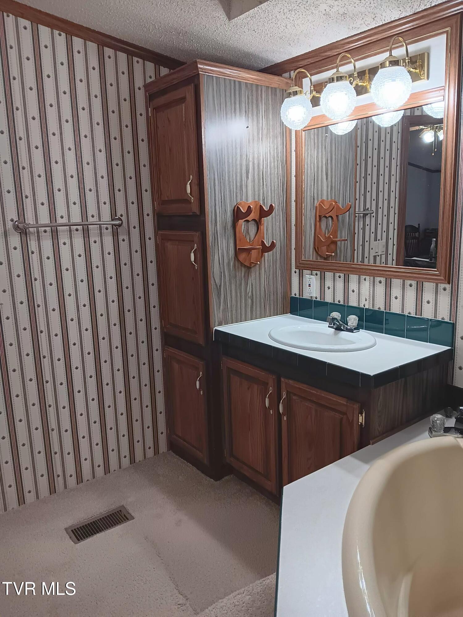 860 Bales Road Mosheim, TN 37818 - Photo 41 of 54 1000027978