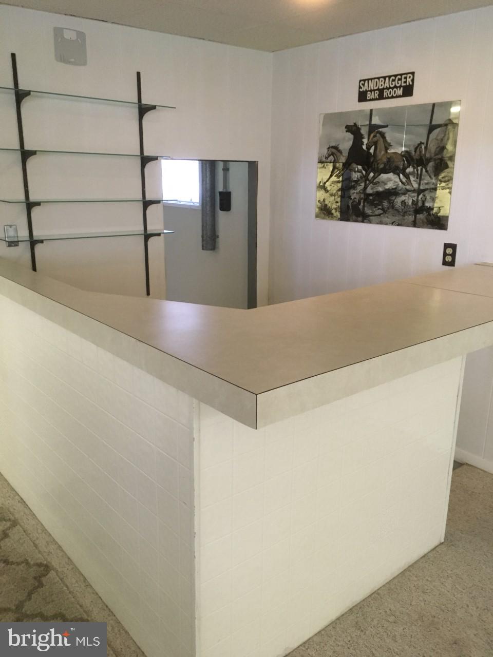 401 Hatchery Road Dover, DE 19901 - Photo 29 of 45 Dry Bar in FR
