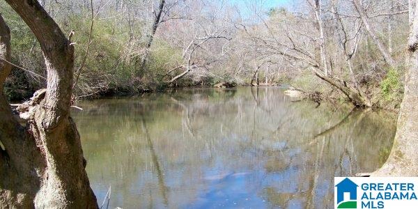 425 County Road 773 Cullman, AL 35055 - Photo 18 of 18
