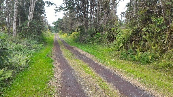 970 Seadrift Road Pahoa, HI 96778 - Photo 3 of 9 Gallery Image 3