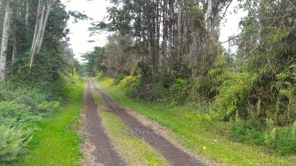 970 Seadrift Road Pahoa, HI 96778 - Photo 4 of 9 Gallery Image 4