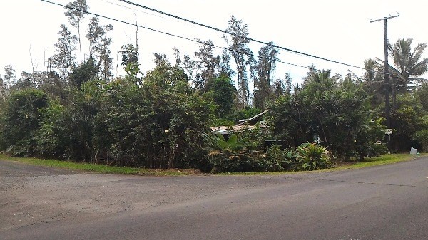 970 Seadrift Road Pahoa, HI 96778 - Photo 6 of 9 Gallery Image 6