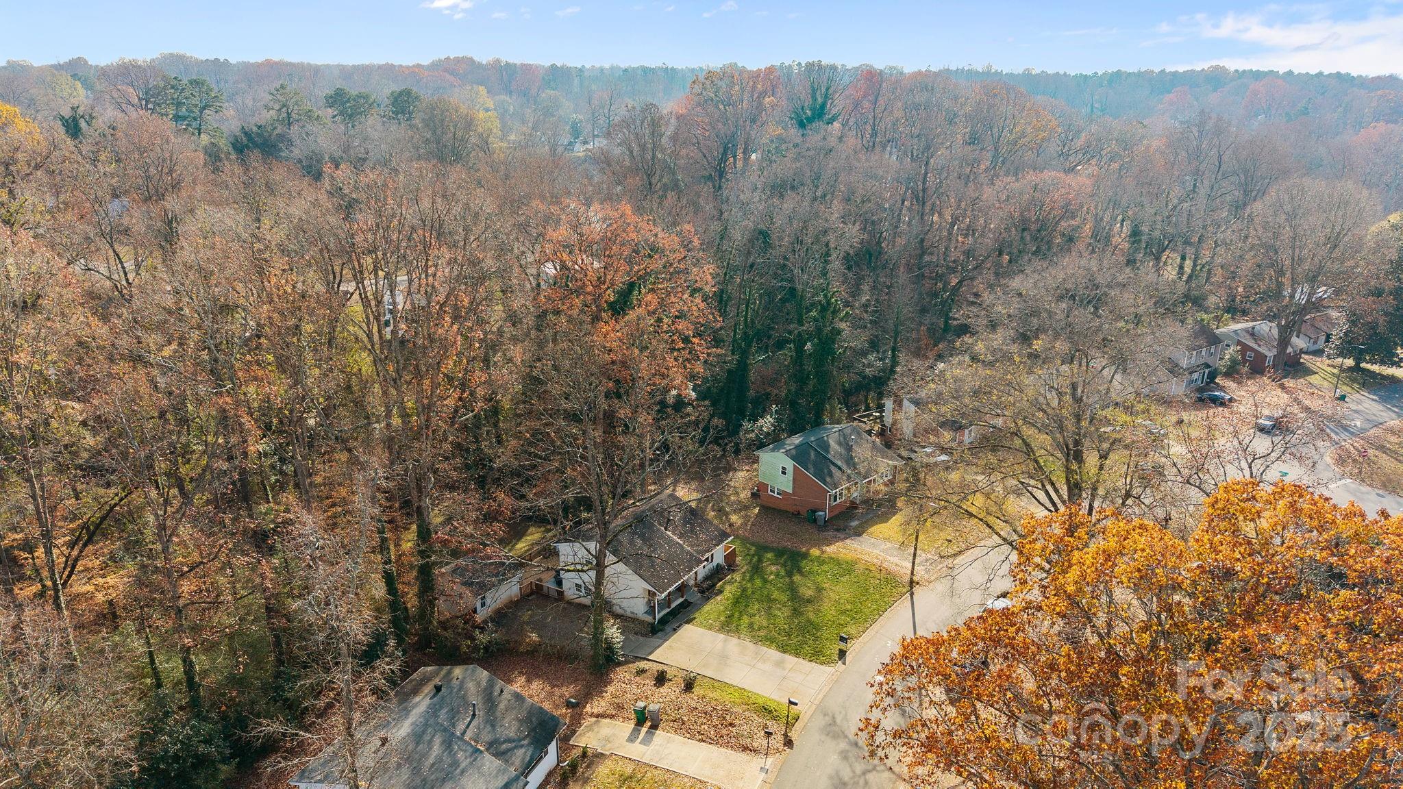 5509 Southampton Road Charlotte, NC 28217 - Photo 33 of 35 a view of a forest with trees in the background