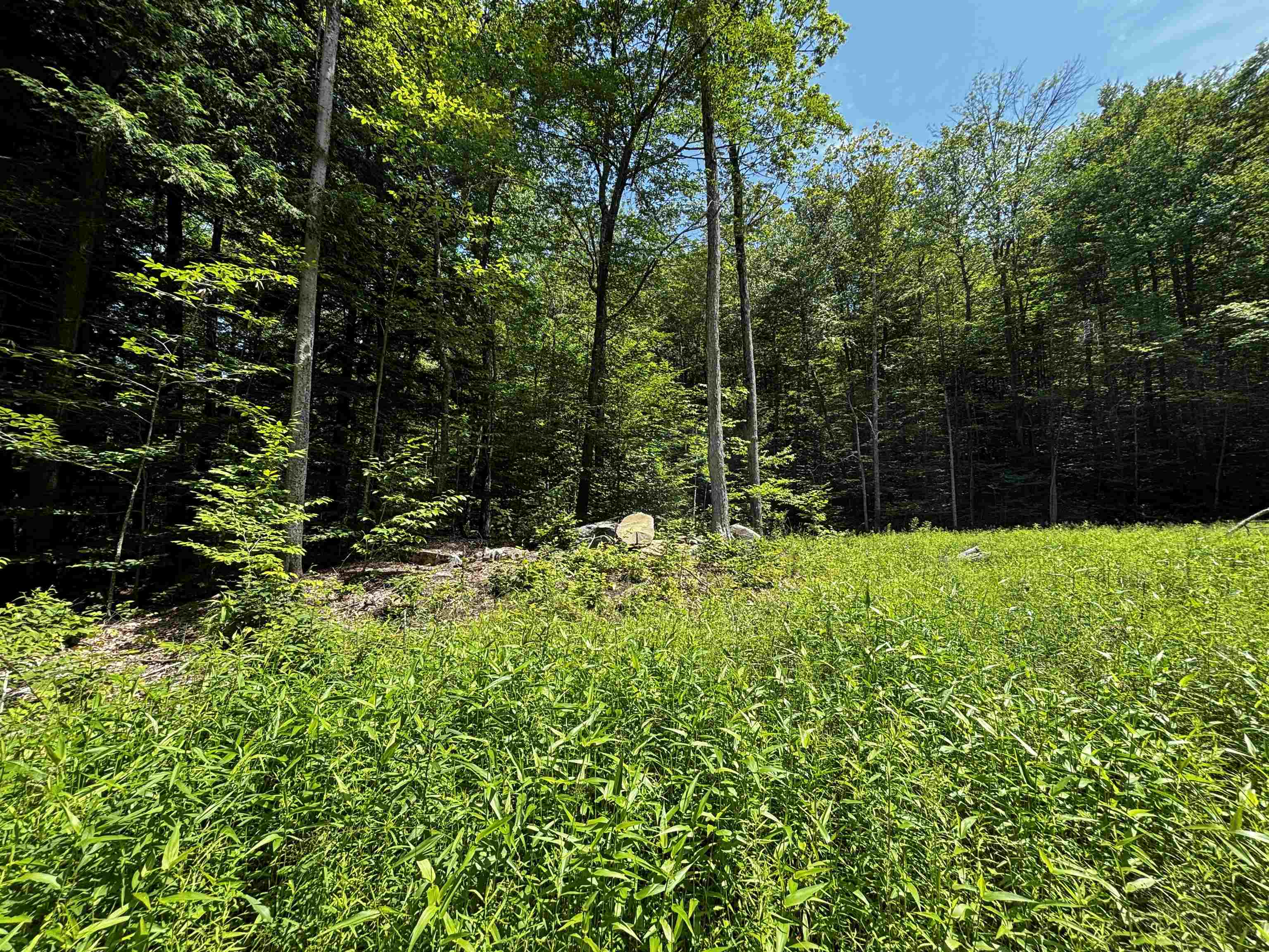 0 Quarry Road Chester, VT 05143 - Photo 9 of 25 Gallery Image 9