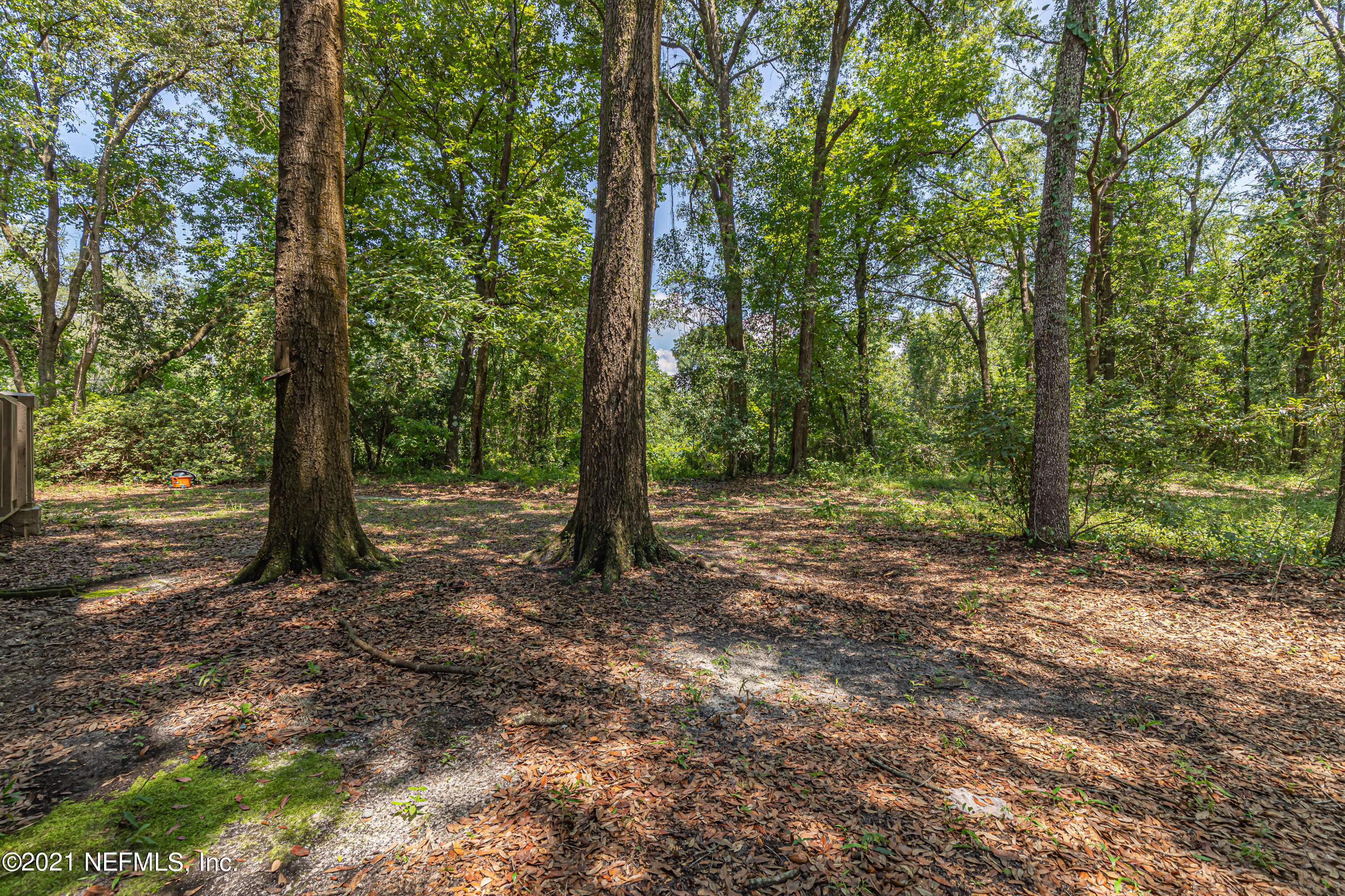 3155 Ravines Road, Unit 3502 Middleburg, FL 32068 - Photo 23 of 25 a view of outdoor space and trees
