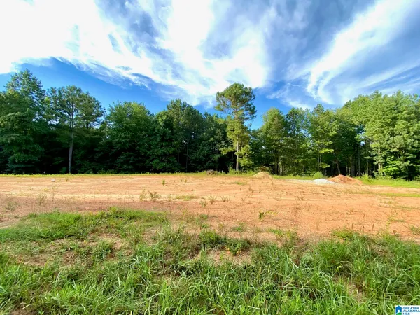 $100,000 | 0 County Road 852, Unit 1, Ranburne, AL 36273