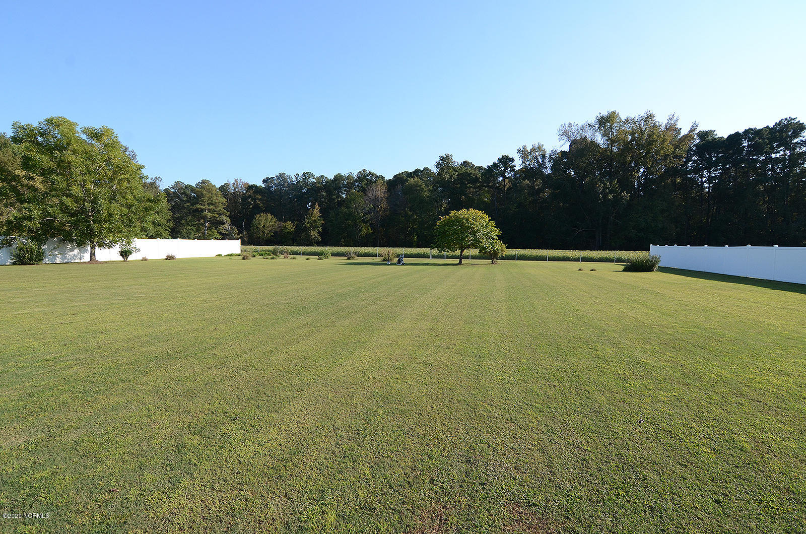 4343 Wiggins Mill Road Wilson, NC 27893 - Photo 24 of 25 Back Yard