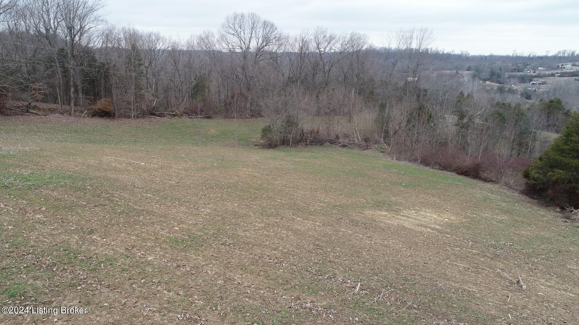2 Lone Star Road Upton, KY 42784 - Photo 4 of 16 DJI_0068 (Large)