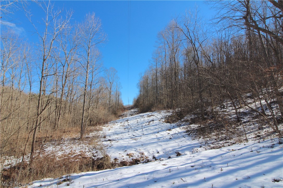1770 Coon Run Road Lower Salem, OH 45745 - Photo 21 of 30 Gallery Image 21