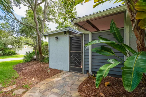 a view of a backyard with plants