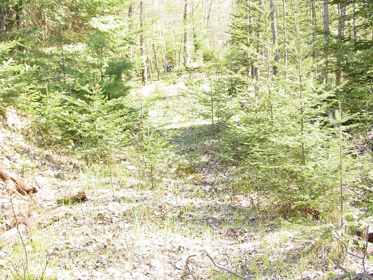 6407 Cth H Mercer, WI 54547 - Photo 9 of 11 Gallery Image 9