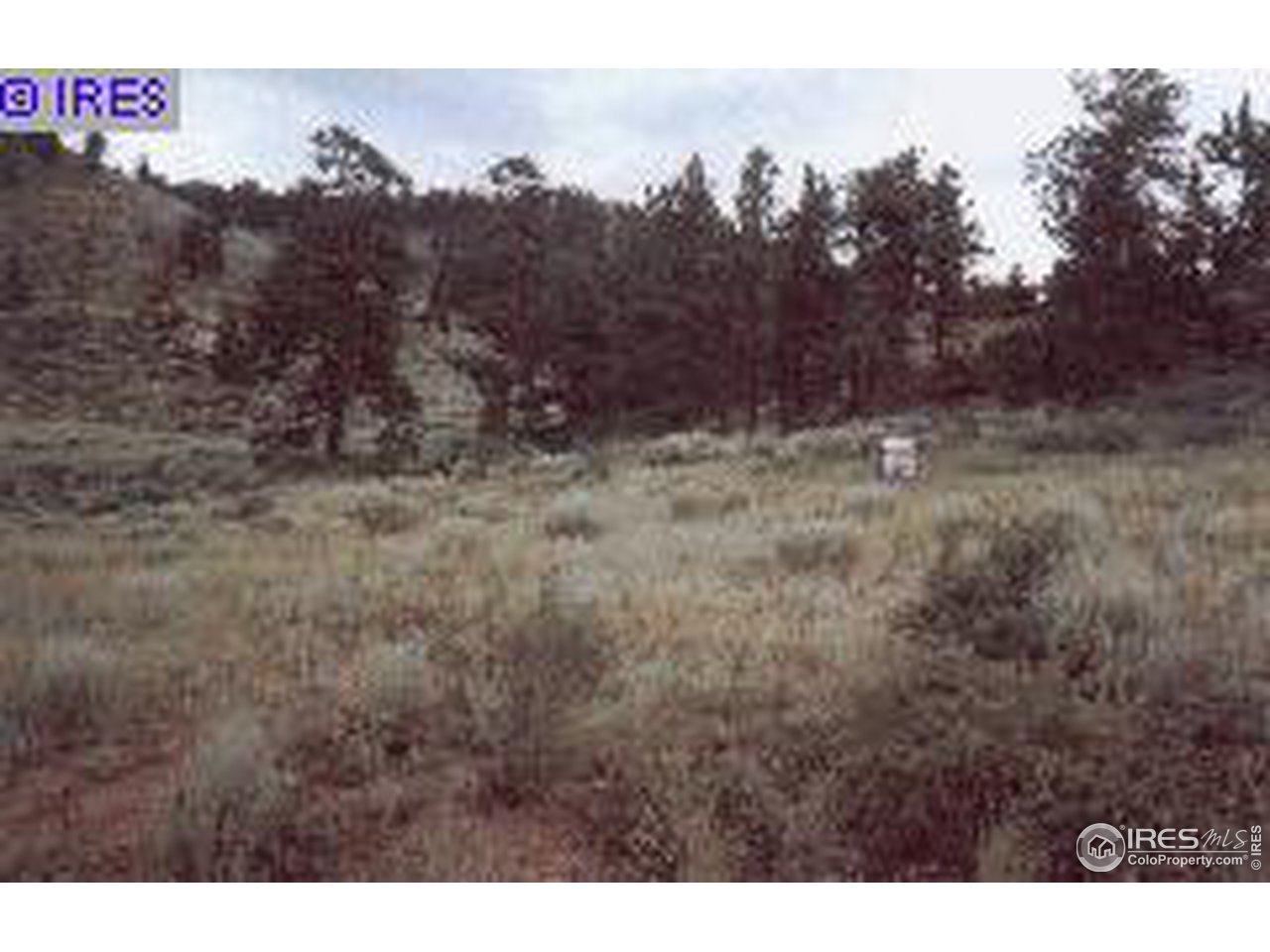1120 Beartrap Road Red Feather Lakes, CO 80545 - Photo 1 of 1 Gallery Image 1