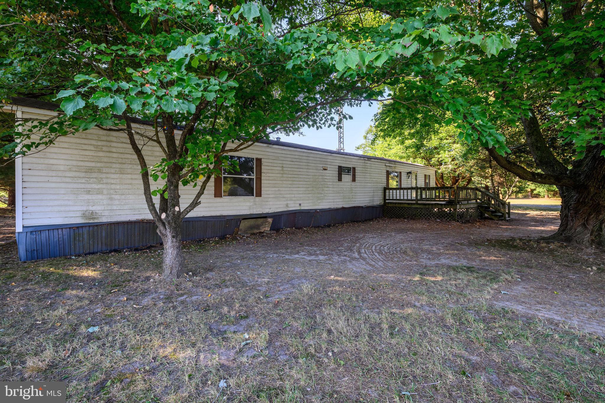 3182 Gun And Rod Club Road Houston, DE 19954 - Photo 12 of 32 a view of a house with a large tree and a big yard