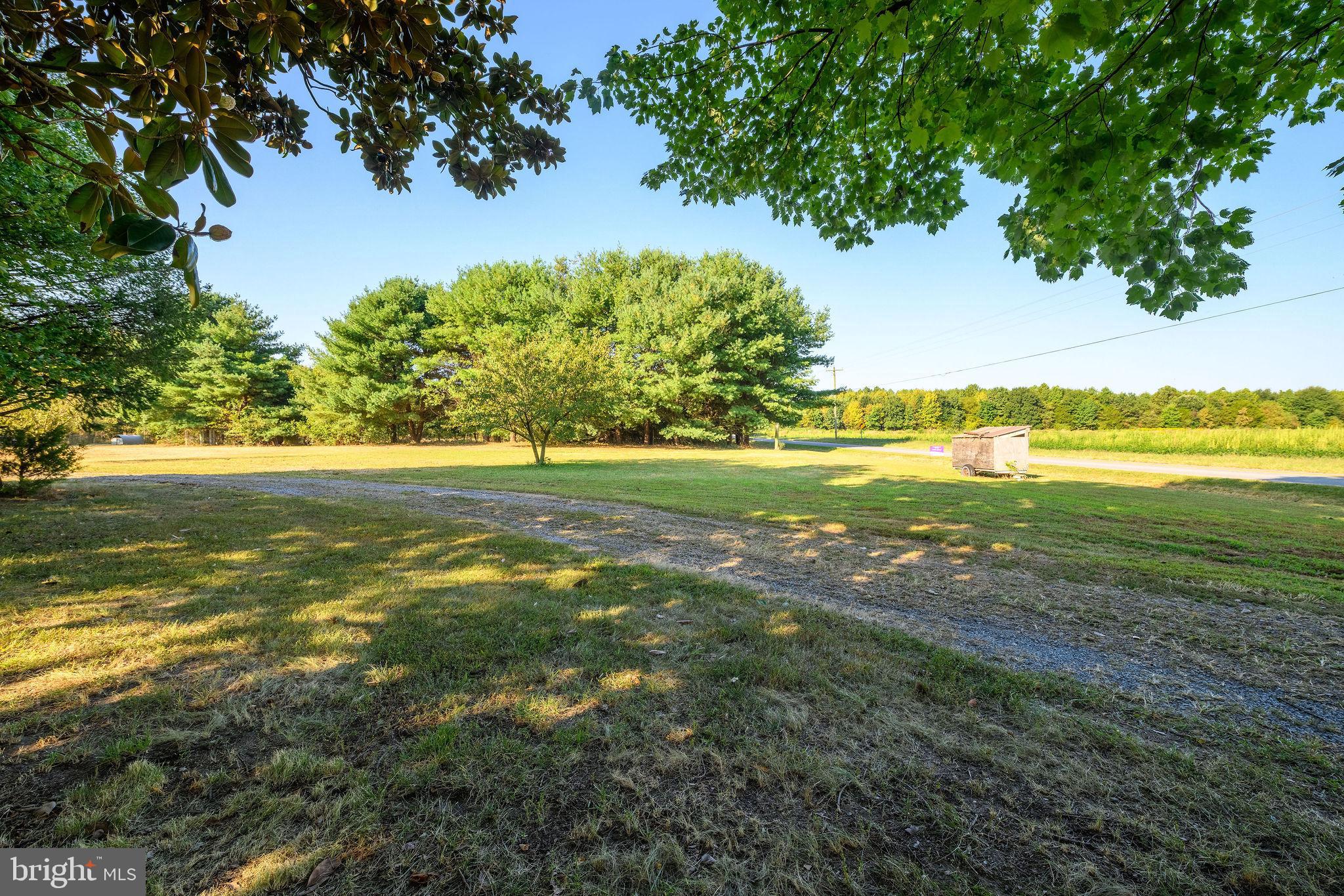 3182 Gun And Rod Club Road Houston, DE 19954 - Photo 14 of 32 a view of an ocean from a yard
