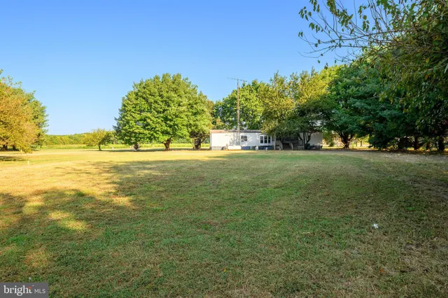 a view of a dirt road with trees in the background