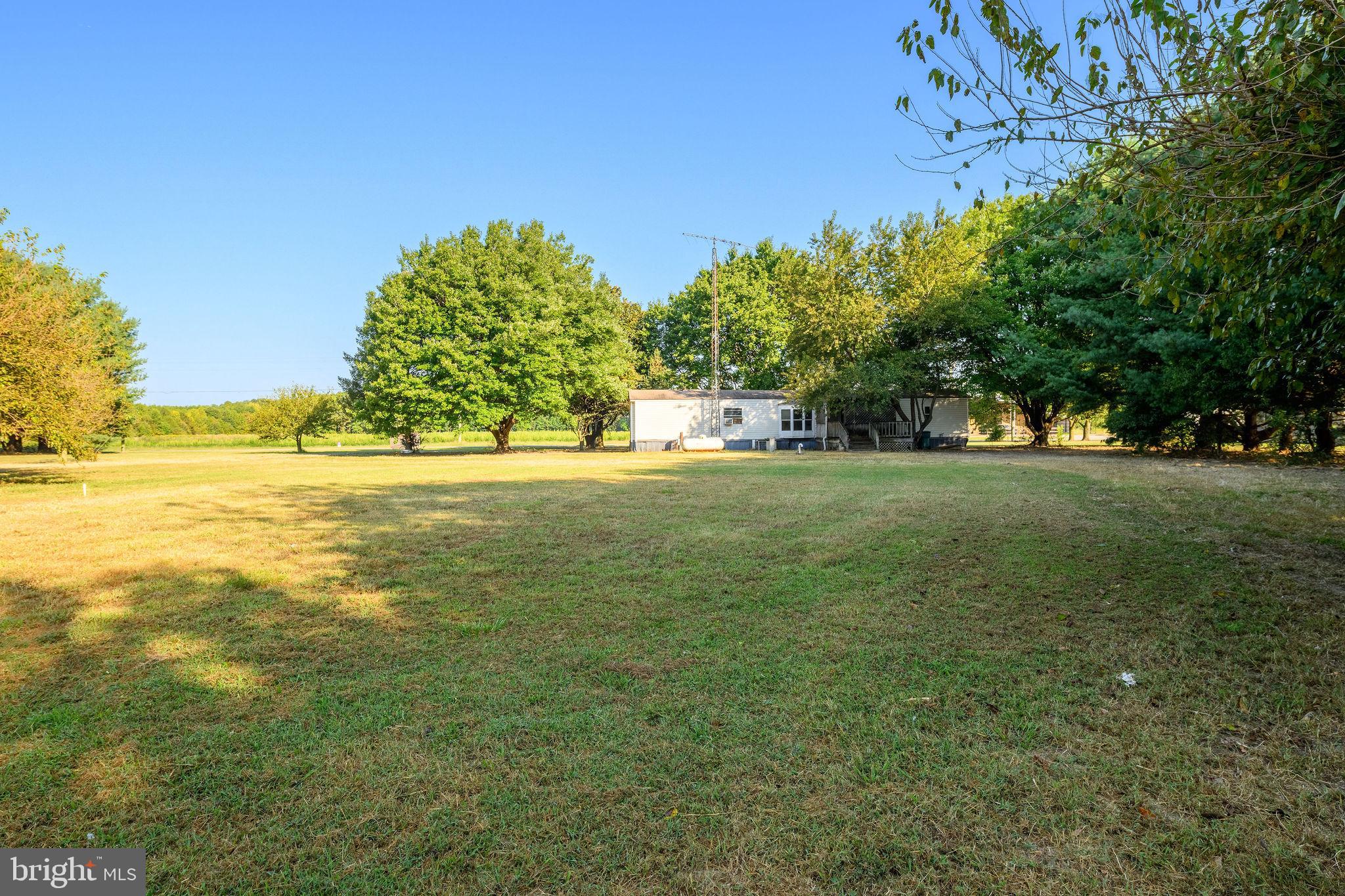 3182 Gun And Rod Club Road Houston, DE 19954 - Photo 18 of 32 a view of a trees with a big yard